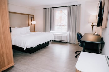 Room, 1 King Bed (Mobility/Hearing Access, Roll-In Shwr)