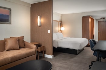 Suite, 1 King Bed with Sofa bed (Mobility Accessible, Roll-in Shower)