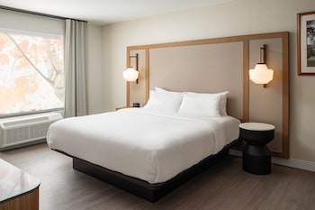 Room, 1 King Bed (Mobility/Hearing Access, Roll-In Shwr)