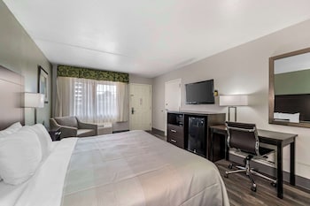 Room, 1 King Bed, Accessible, Non Smoking