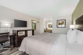 Standard Room, 1 King Bed, Non Smoking
