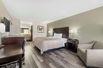 Standard Room, 1 King Bed, Non Smoking