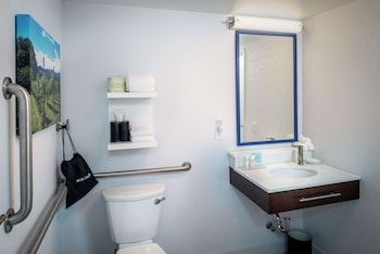 Room, 1 King Bed, Accessible, Non Smoking (Roll-in Shower)