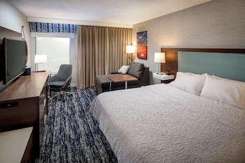 Room, 1 King Bed, Non Smoking