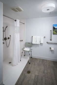 Room, 1 King Bed, Accessible, Non Smoking (Roll-in Shower)