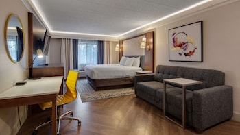 Standard Room, 1 King Bed, Non Smoking, Refrigerator & Microwave (with Sofabed)
