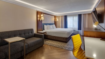 Standard Room, 1 King Bed, Non Smoking, Refrigerator & Microwave (with Sofabed)