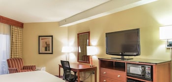 Room, 1 King Bed with Sofa bed, Non Smoking (Direct Pool Access)