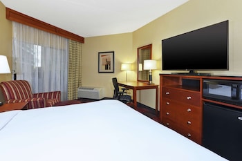 Room, 1 King Bed, Accessible, Non Smoking (Roll-in Shower)