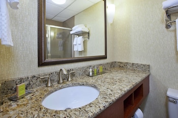 Room, 1 King Bed with Sofa bed, Non Smoking (Hearing)