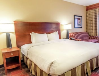 Room, 1 King Bed with Sofa bed, Non Smoking, Balcony