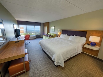 Room, 1 King Bed, Non Smoking, Valley View (Study)