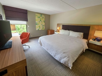 Room, 1 King Bed, Non Smoking