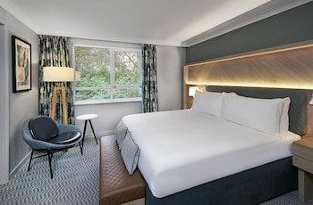 Junior Suite, 1 King Bed with Sofa bed (Wellness)