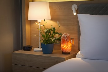 Room, 1 King Bed, Patio