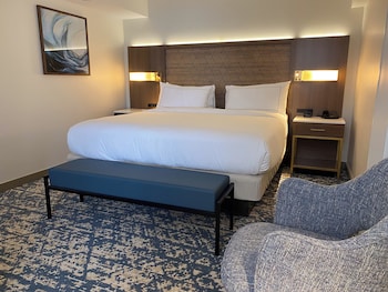 Junior Suite, 1 King Bed, Accessible (Mobility & Hearing, Roll-in Shower)