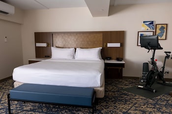 Suite, 1 King Bed