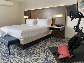 Suite, 1 King Bed