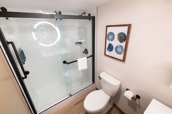 Suite, 1 King Bed