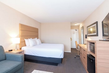 Standard Room, 1 King Bed with Sofa bed