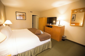 Standard Room, 1 King Bed, Accessible, Bathtub