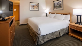Standard Room, 1 King Bed, Accessible, Non Smoking