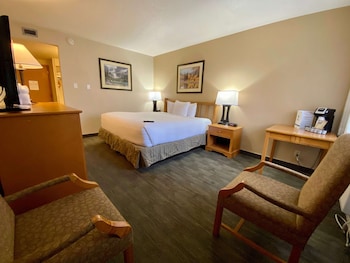 Standard Room, 1 King Bed, Accessible, Non Smoking