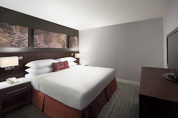 Executive Suite, 1 Bedroom (club executive)