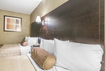 Standard Double Room, 2 Double Beds, Non Smoking