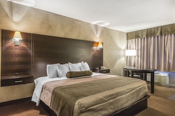 Standard Room, 1 King Bed, Non Smoking