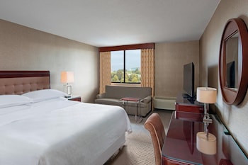 Deluxe Room, 1 King Bed with Sofa bed
