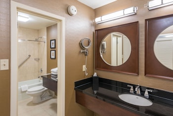Suite, 1 King Bed with Sofa bed