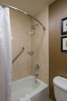 Traditional Room, 1 King Bed (Mobility Accessible, Roll-In Shower)