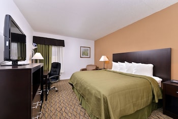 Room, 1 King Bed