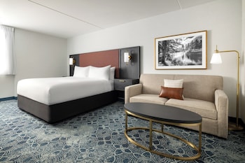 Room, 1 King Bed
