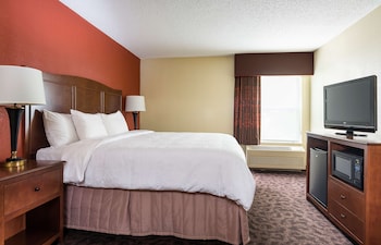 Room, 1 Queen Bed, Non Smoking