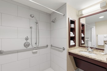 Standard Room, 1 King Bed, Accessible (Roll-In Shower)