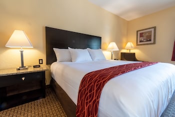 Room, 1 King Bed, Non Smoking