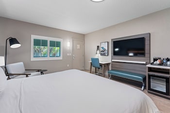 Room, 1 King Bed, Accessible, Non Smoking