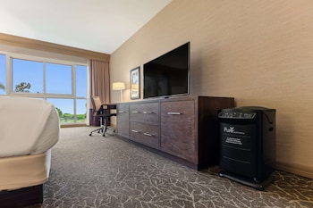 Room, 1 King Bed