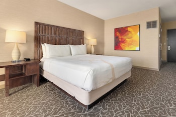 Room, 1 King Bed