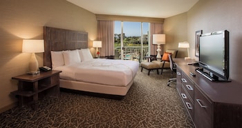 Room, 1 King Bed