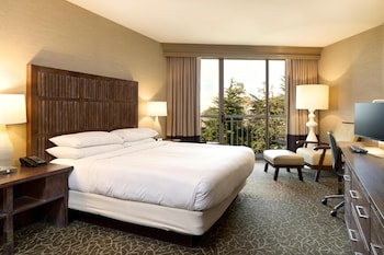 Room, 1 King Bed
