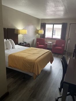 Standard Single, 1 Queen Bed