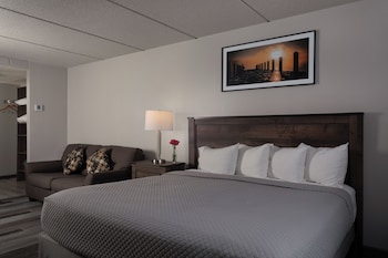 1 King Bed Lakeview  - Accessible - Balcony 5th floor