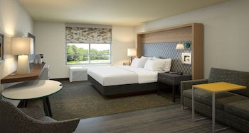 Premium Room, 1 King Bed with Sofa bed