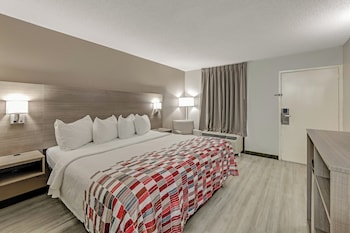 Superior Room, 1 King Bed, Non Smoking
