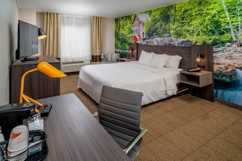 Room, 1 King Bed, Accessible, Non Smoking