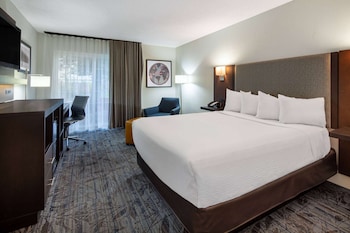 Room, 1 Queen Bed, Non Smoking (Courtyard View)