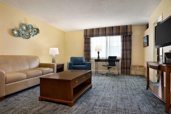 Room, 1 King Bed, Accessible, Non Smoking (Mobility Accessible)